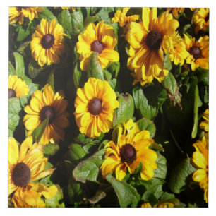 Black Eyed Susan Tile Kakelplatta