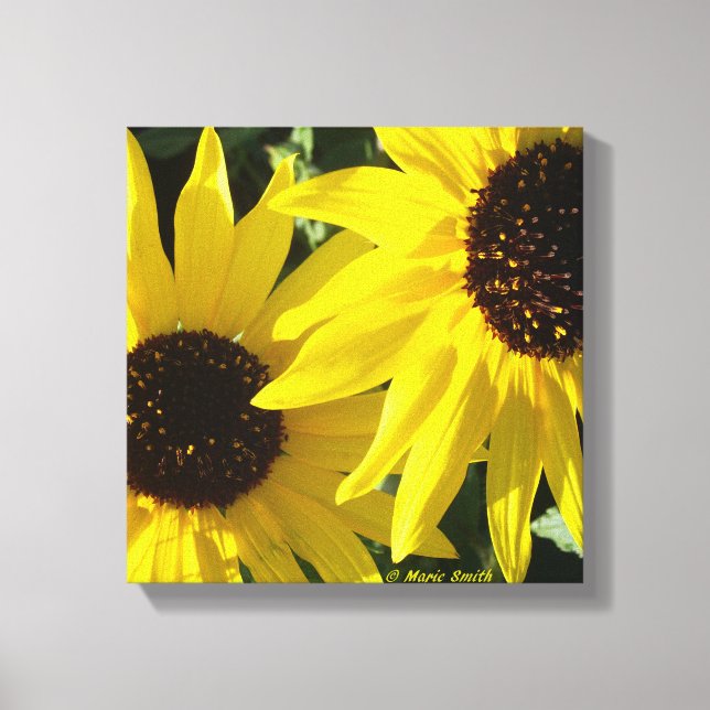 Black Eyed Susans Canvastryck (Framsida)