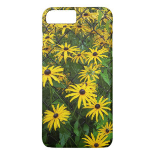 Black-Eyed Susans