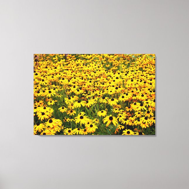 Black Eyed Susans Diptych Canvastryck (Framsida)