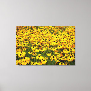 Black Eyed Susans Diptych Canvastryck