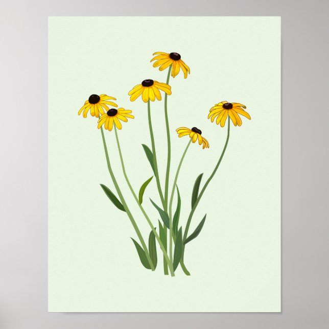 Black Eyed Susans Flower Fine Art Poster (Framsidan)