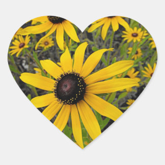 Black Eyed Susans Hjärtformat Klistermärke