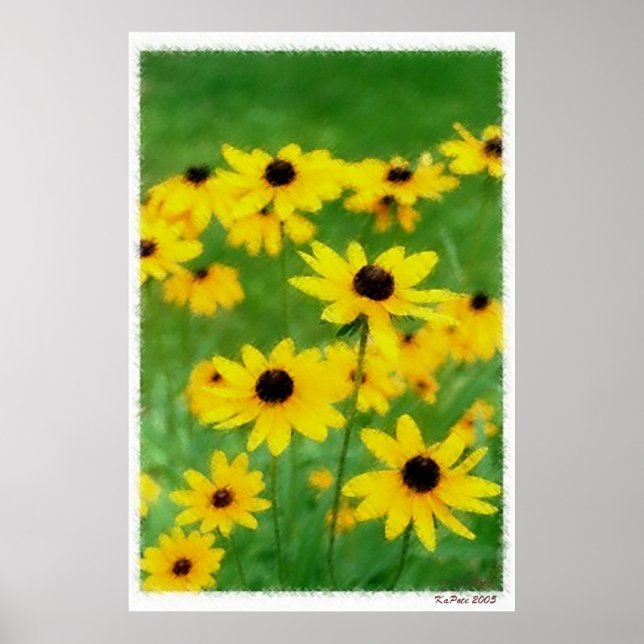 Black Eyed Susans Poster (Framsidan)