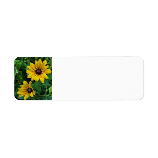 Black-Eyed Susans Returadress Etikett (Framsidan)