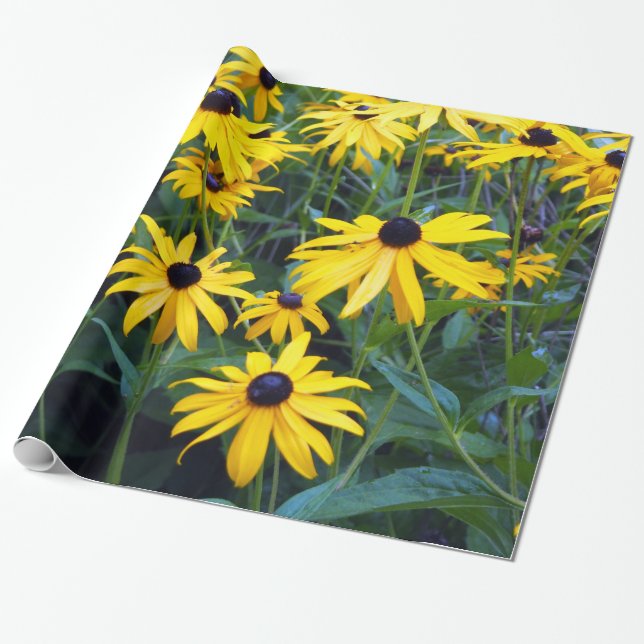 Black Eyed Susans Wrapping Papper Presentpapper (Utrullad)