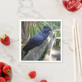 Black Feathers: Australian Black Parrot Pappersservett