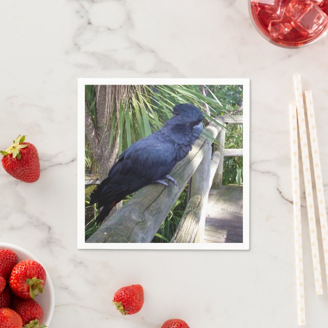 Black Feathers: Australian Black Parrot Pappersservett (Insitu)