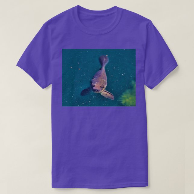 Black Fish Stare T Shirt (Design framsida)