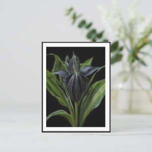 Black Fladdermus Plant on Black Vykort