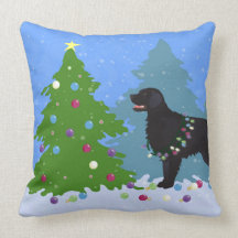 Black Flat-Jackat Retriever - Julskog