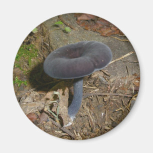 Black Flower Mushroom Magnet