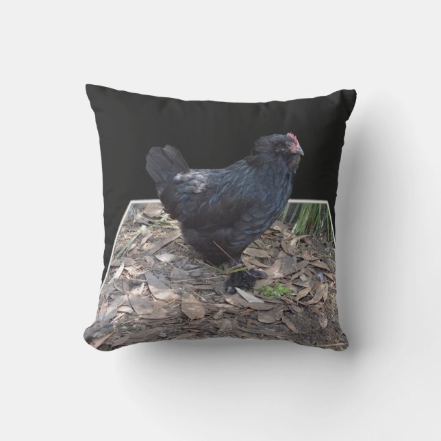 Black Fluffy Chicken Utomhuskudde (Framsida)