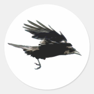BLACK FLYING KRÅKA Sticker Series Runt Klistermärke