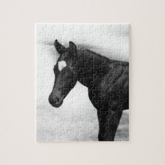 Black Foal Puzzle Pussel (Vertikal)