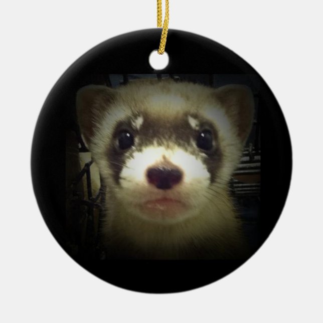 Black Footed Ferret Ornament 2011 (Framsidan)