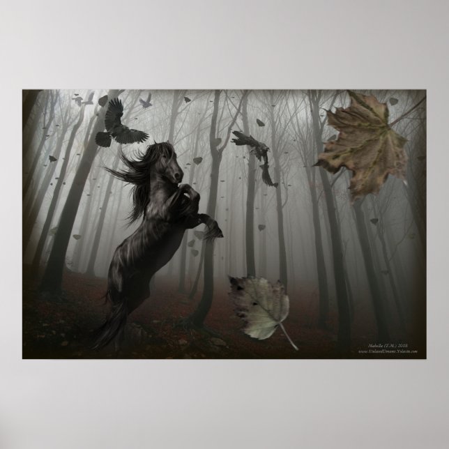 Black Forest Poster (Framsidan)