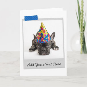Black Fransk Bulldog Frenchie Funny Card Kort