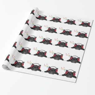 Black Fransk Bulldog Grooving to Hans Tunes Presentpapper