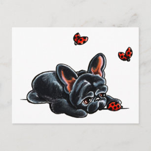 Black Fransk Bulldog Ladybug Vykort