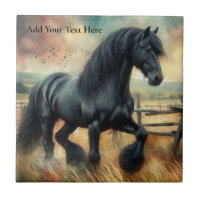 Black Fresian Horse Pasture Rustic Fence