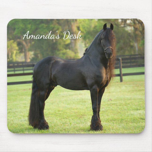 Black Friesian Horse Photo Desk Musmatta (Framsidan)
