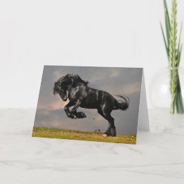 Black Friesian Horse Runfree Kort