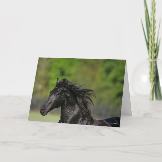 Black Friesian Horse Stallion Headshot Kort (Framsida)