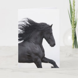 Black Friesian Springa Horse Greeting Card Kort