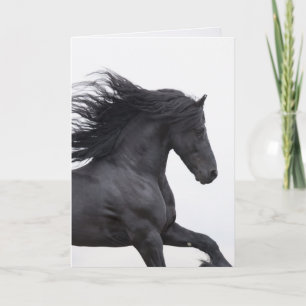 Black Friesian Springa Horse Greeting Card Kort