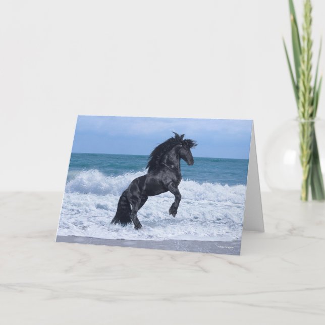 Black Friesian Stallion Rearing In the Sea Kort (Framsida)