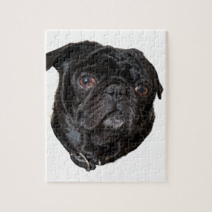 Black Funny Pug Pussel