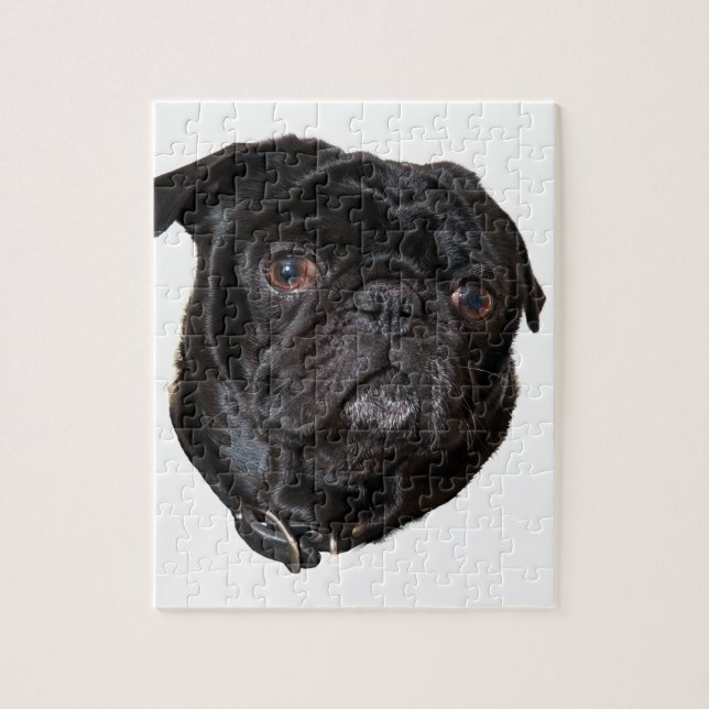 Black Funny Pug Pussel (Vertikal)