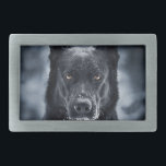 Black German Shepherd<br><div class="desc">Black German Shepherd</div>