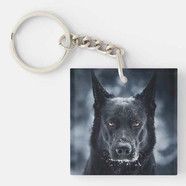 Black German Shepherd (Framsidan)