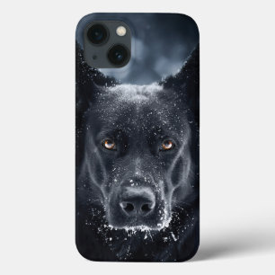 Black German Shepherd