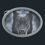 Black German Shepherd<br><div class="desc">Black German Shepherd</div>