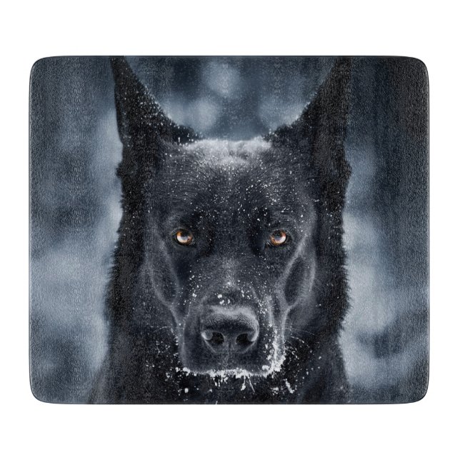 Black German Shepherd (Framsidan)
