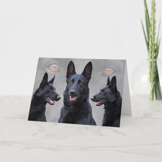 Black German Shepherd Collate Card Kort (Framsida)