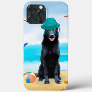 Black German Shepherd Hund på Beach