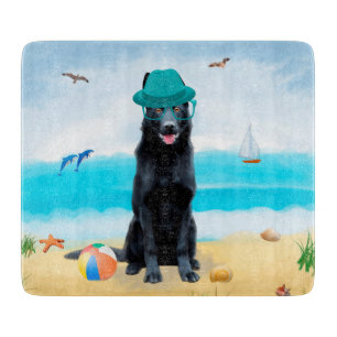Black German Shepherd Hund på Beach