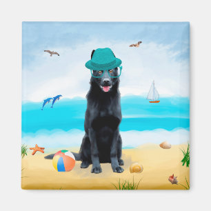 Black German Shepherd Hund på Beach Magnet