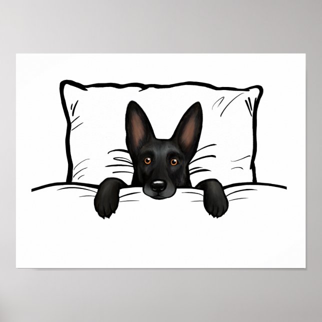 Black German Shepherd Hund Tuckin in Bed Poster (Framsidan)
