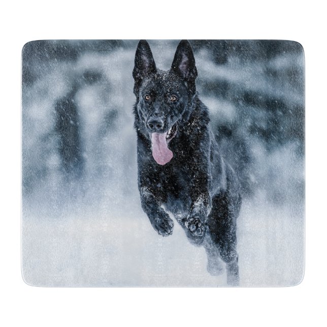 Black German Shepherd i snö Duvet Cover (Framsidan)