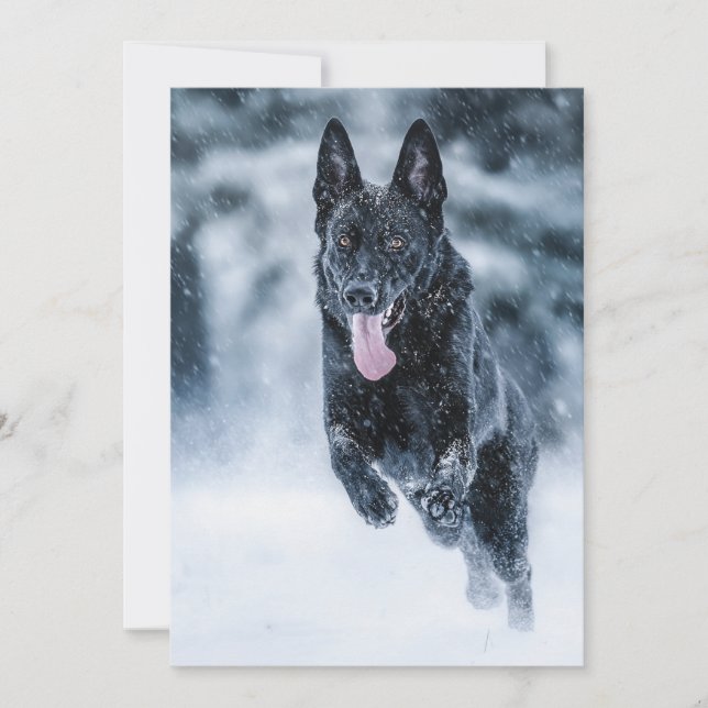 Black German Shepherd i snö Duvet Cover Julkort (Framsida)