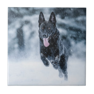 Black German Shepherd i snö Duvet Cover Kakelplatta