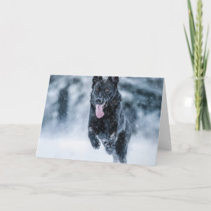 Black German Shepherd i snö Duvet Cover Kort