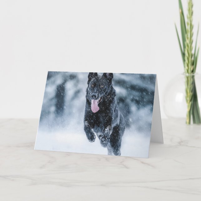 Black German Shepherd i snö Duvet Cover Kort (Framsida)
