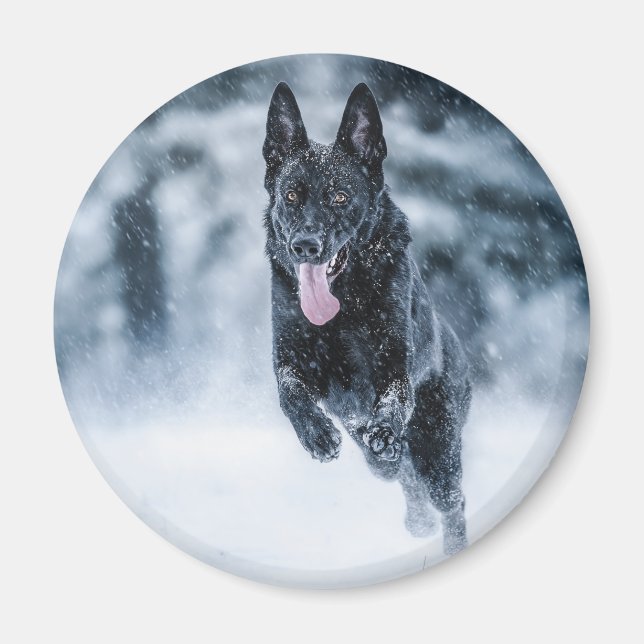 Black German Shepherd i snö Duvet Cover Magnet (Framsidan)