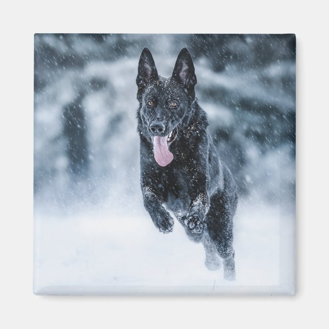 Black German Shepherd i snö Duvet Cover Magnet (Framsidan)